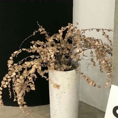 兽设自然元素结合Furry群